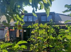 Gaube mit Holzfassade und Ausblick in den Garten