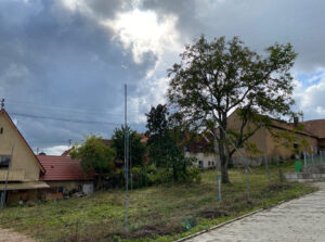 am Hang: der untere Teil des Grundstücks für den Neubau